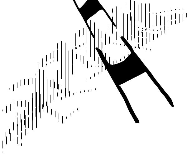 Ski slalom pole to pole