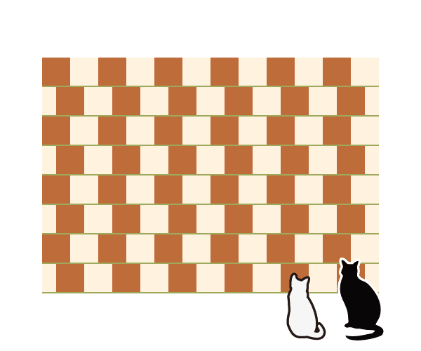 Cafe Wall Illusion Cat